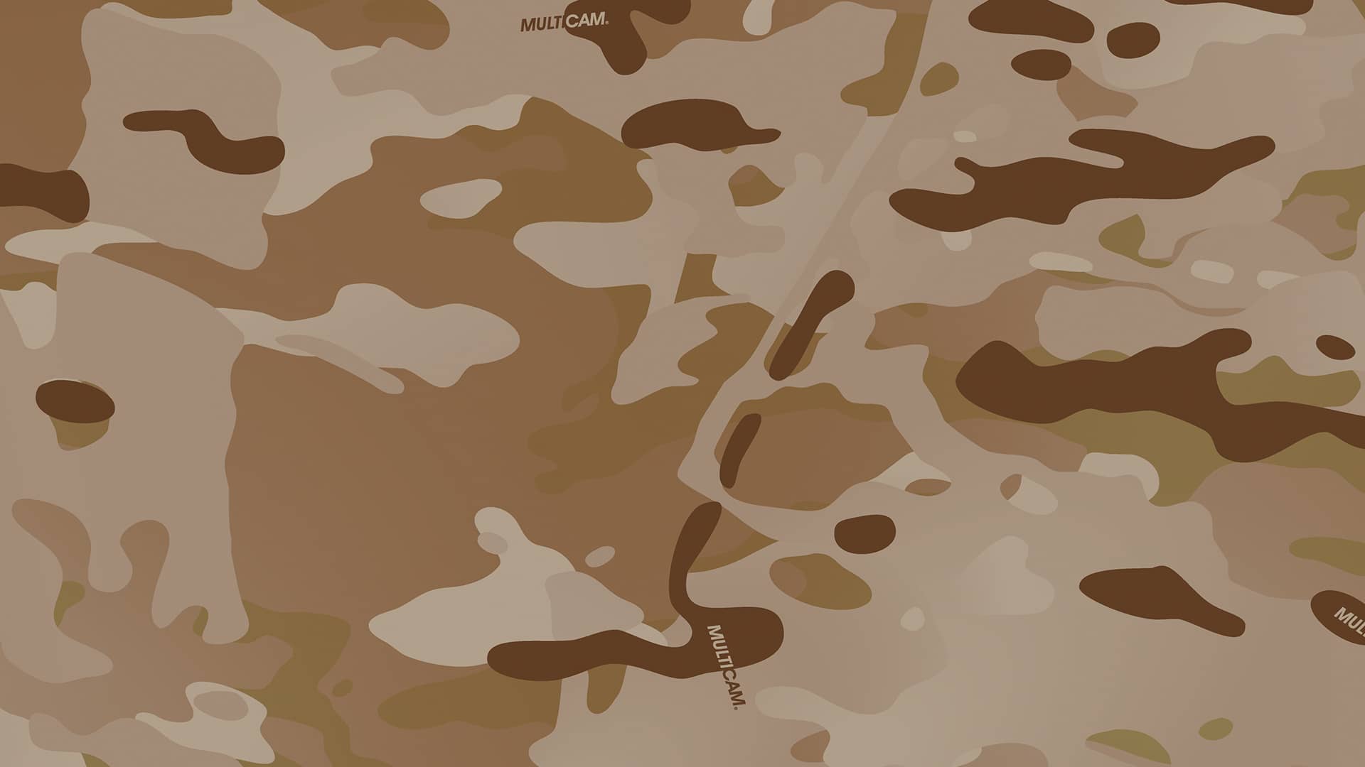 MultiCam® Arid pattern in desert terrain