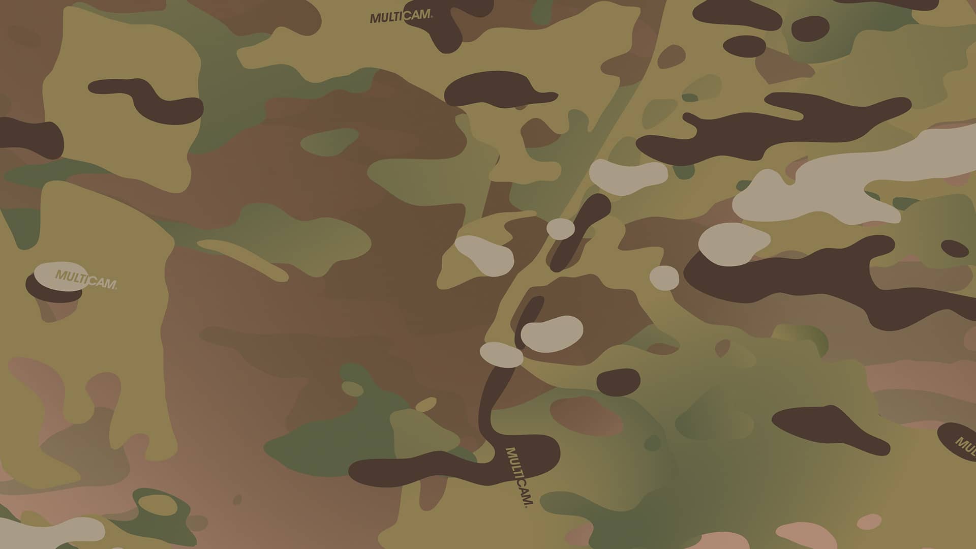 MultiCam® pattern in mixed terrain