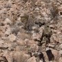 desert multicam desert multicam