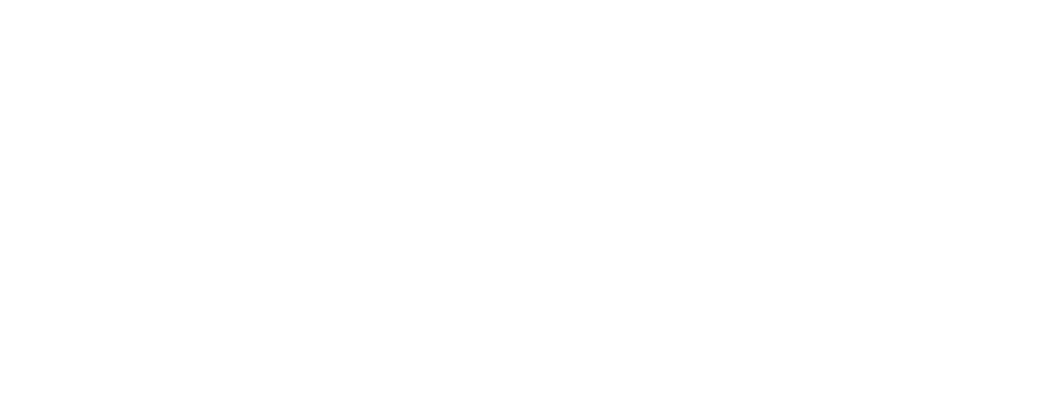 MultiCam Logo Slider